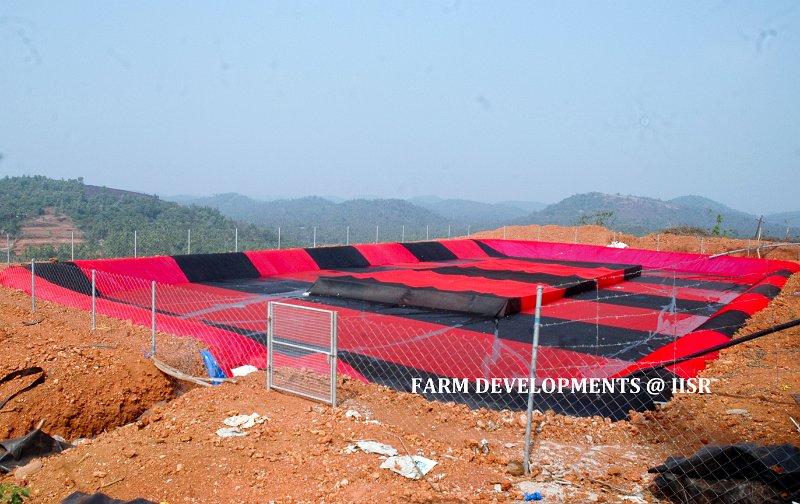 Water harvesting (7).jpg